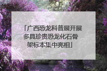 广西恐龙科普展开展 多具珍贵恐龙化石骨架标本集中亮相