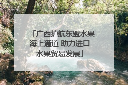 广西护航东盟水果海上通道 助力进口水果贸易发展