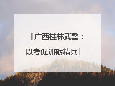 广西桂林武警：以考促训砺精兵