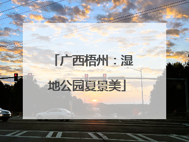 广西梧州：湿地公园夏景美