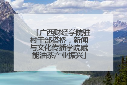 广西财经学院驻村干部搭桥，新闻与文化传播学院赋能油茶产业振兴