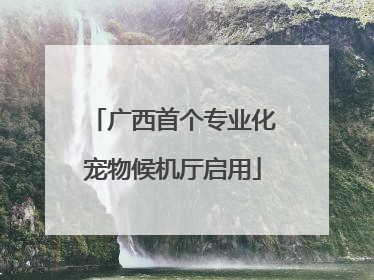 广西首个专业化宠物候机厅启用