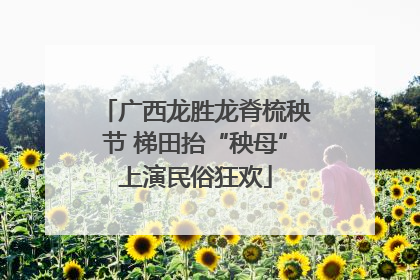 广西龙胜龙脊梳秧节 梯田抬“秧母”上演民俗狂欢