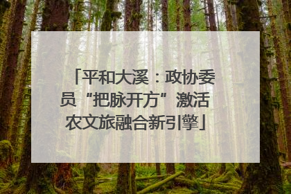 平和大溪：政协委员“把脉开方”激活农文旅融合新引擎