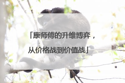 康师傅的升维博弈，从价格战到价值战