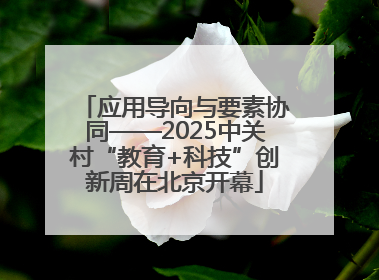 应用导向与要素协同——2025中关村“教育+科技”创新周在北京开幕