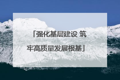 强化基层建设 筑牢高质量发展根基