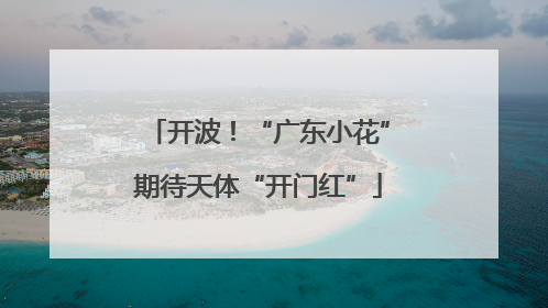 开波！“广东小花”期待天体“开门红”