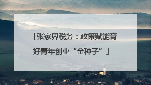 张家界税务：政策赋能育好青年创业“金种子”