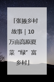 张掖乡村故事｜10万亩高原夏菜“绿”富乡村