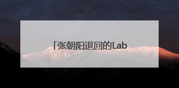 张朝阳退回的Labubu，换了一辆车