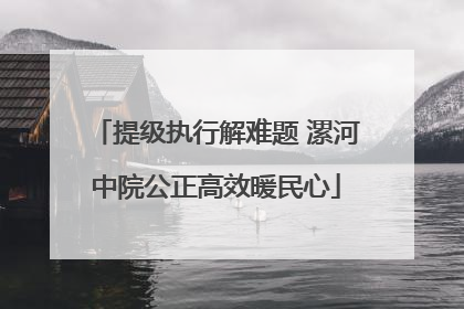提级执行解难题 漯河中院公正高效暖民心