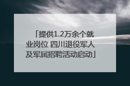 提供1.2万余个就业岗位 四川退役军人及军属招聘活动启动