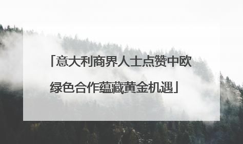 意大利商界人士点赞中欧绿色合作蕴藏黄金机遇