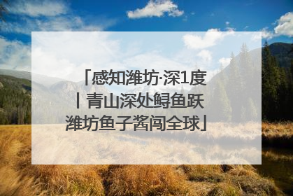 感知潍坊·深1度丨青山深处鲟鱼跃 潍坊鱼子酱闯全球
