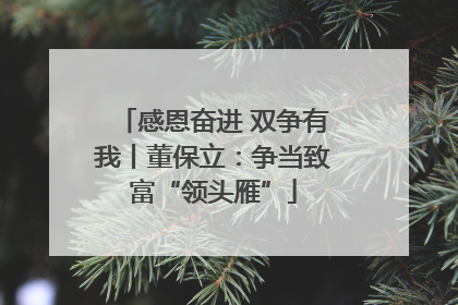 感恩奋进 双争有我丨董保立：争当致富“领头雁”