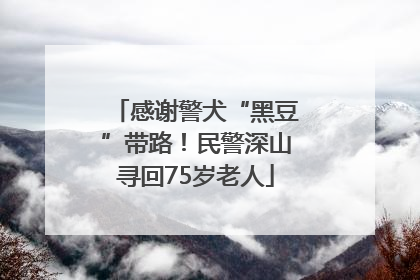 感谢警犬“黑豆”带路！民警深山寻回75岁老人