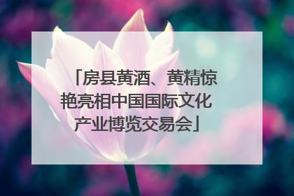 房县黄酒、黄精惊艳亮相中国国际文化产业博览交易会