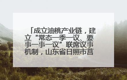 成立油桃产业链，建立“常态一季一议、要事一事一议”联席议事机制，山东省日照市莒县果庄镇——13个党小组“全周期”育果