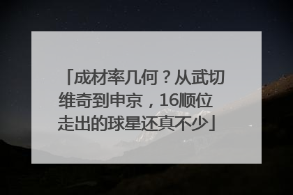 成材率几何？从武切维奇到申京，16顺位走出的球星还真不少