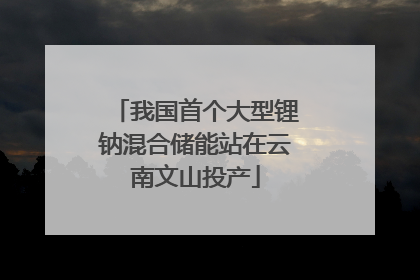 我国首个大型锂钠混合储能站在云南文山投产