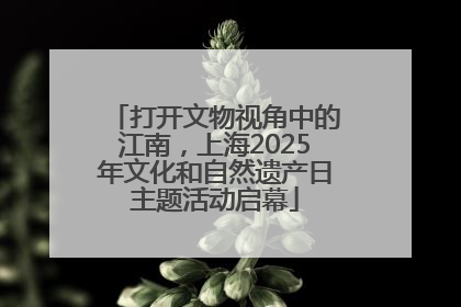 打开文物视角中的江南，上海2025年文化和自然遗产日主题活动启幕