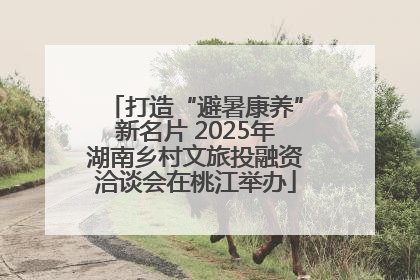 打造“避暑康养”新名片 2025年湖南乡村文旅投融资洽谈会在桃江举办