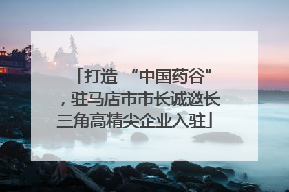 打造 “中国药谷”，驻马店市市长诚邀长三角高精尖企业入驻