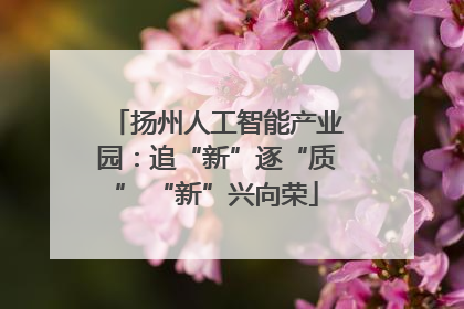 扬州人工智能产业园:追“新”逐“质” “新”兴向荣