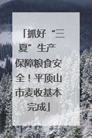 抓好“三夏”生产 保障粮食安全！平顶山市麦收基本完成