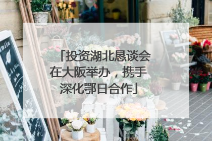 投资湖北恳谈会在大阪举办，携手深化鄂日合作