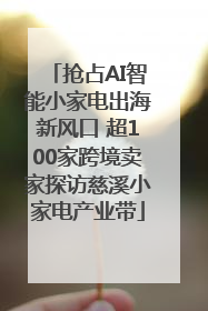 抢占AI智能小家电出海新风口 超100家跨境卖家探访慈溪小家电产业带