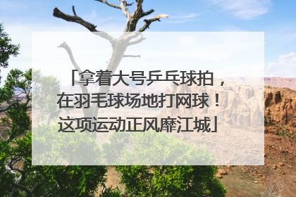 拿着大号乒乓球拍，在羽毛球场地打网球！这项运动正风靡江城