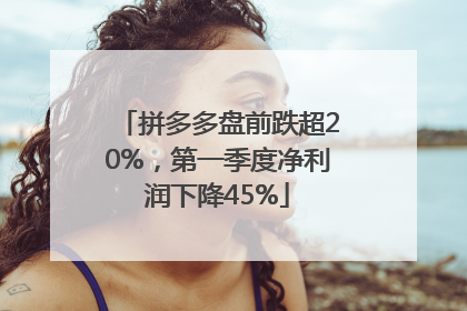 拼多多盘前跌超20%，第一季度净利润下降45%