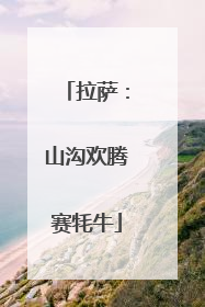 拉萨：山沟欢腾赛牦牛