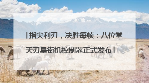 指尖利刃，决胜每帧：八位堂天刃星街机控制器正式发布