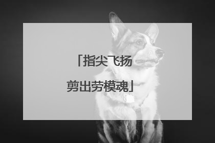 指尖飞扬 剪出劳模魂