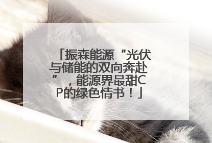 振森能源“光伏与储能的双向奔赴”，能源界最甜CP的绿色情书！