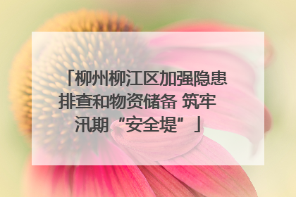 柳州柳江区加强隐患排查和物资储备 筑牢汛期“安全堤”