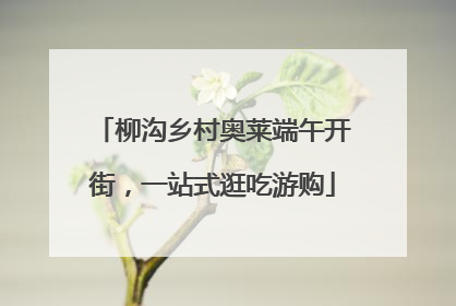 柳沟乡村奥莱端午开街，一站式逛吃游购
