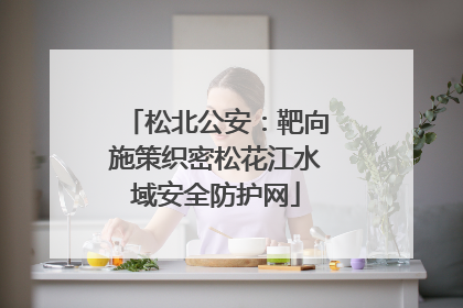松北公安：靶向施策织密松花江水域安全防护网