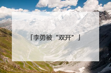 李勇被“双开”