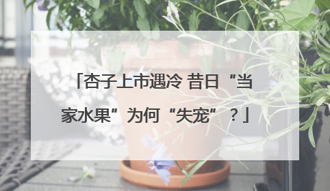 杏子上市遇冷 昔日“当家水果”为何“失宠”？