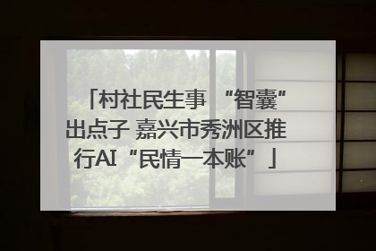 村社民生事 “智囊”出点子 嘉兴市秀洲区推行AI“民情一本账”