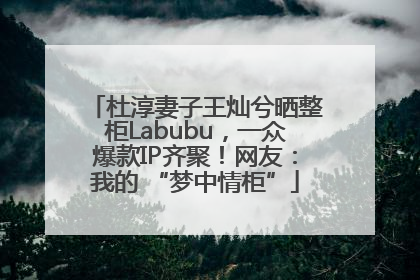 杜淳妻子王灿兮晒整柜Labubu，一众爆款IP齐聚！网友：我的 “梦中情柜”