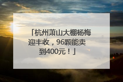 杭州萧山大棚杨梅迎丰收，96颗能卖到400元！
