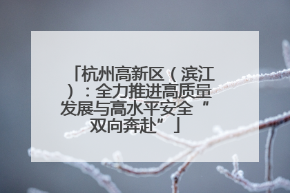 杭州高新区（滨江）：全力推进高质量发展与高水平安全“双向奔赴”