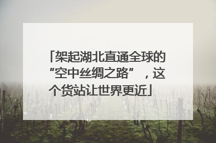 架起湖北直通全球的“空中丝绸之路”，这个货站让世界更近