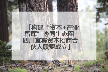 构建“资本+产业智库”协同生态圈 四川宜宾资本招商合伙人联盟成立