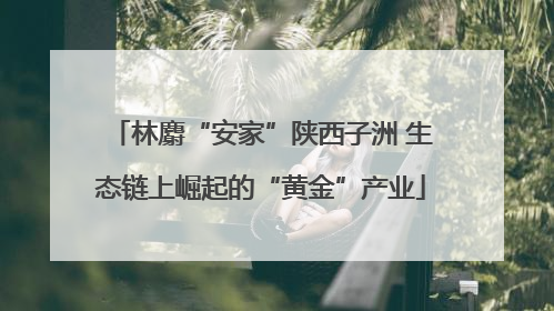 林麝“安家”陕西子洲 生态链上崛起的“黄金”产业